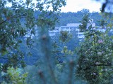 Aussicht vom Balkon Richtung Bosenbergkurklinik